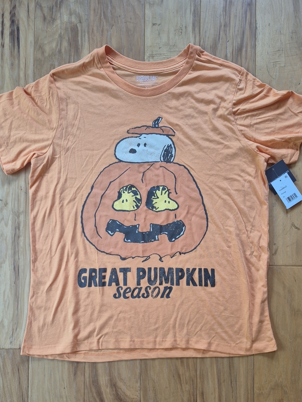 Cute Peanuts Orange 'Great Pumpkin Season' Snoopy And Woodstock